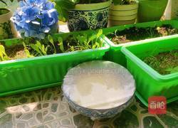 星形玉米餅的做法圖解8