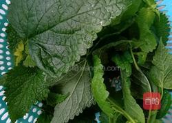 初夏灵魂菜 鲜霍香煎蛋饼 的做法图解2