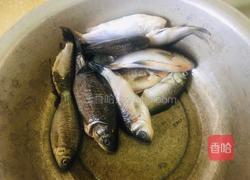 冬瓜豆腐鲫鱼汤的做法图解1