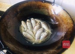 冬瓜豆腐鲫鱼汤的做法图解2