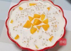 牛奶芒果西米露的做法图解14