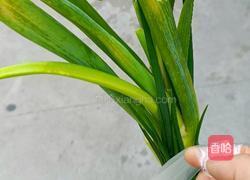 胡萝卜山药排骨汤的做法图解1