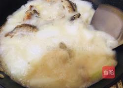 野生鲫鱼冬瓜汤的做法图解8