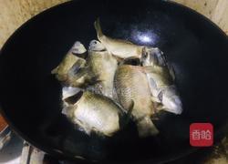 红烧野生鲫鱼的做法图解2
