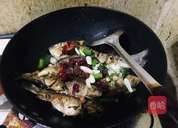 红烧野生鲫鱼的做法图解5