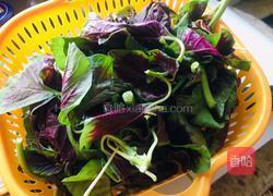 清炒红苋菜的做法图解1