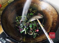 清炒红苋菜的做法图解5