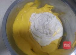 芒果冰淇淋的做法图解10