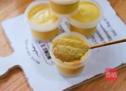 芒果冰淇淋的做法图解18