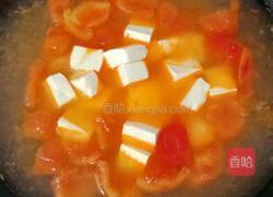 番茄菌菇豆腐汤的做法图解12