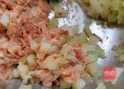 冬瓜猪肉水饺的做法图解4