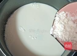 牛奶芒果雪糕的做法图解9