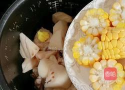 虫草花猪骨汤的做法图解9