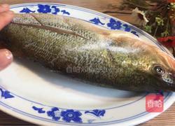 薄荷鲈鱼的做法图解1