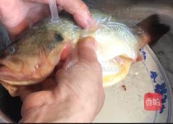 薄荷鲈鱼的做法图解3