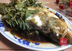 薄荷鲈鱼的做法图解8