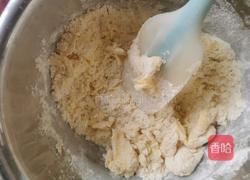 小花猫卡通曲奇饼干的做法图解5