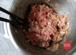 鲜嫩多汁的肉包子的做法图解7