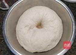 自制香菇鲜肉小笼包的做法图解16