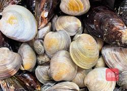 地中海风味香蒜综合蛤蜊锅的做法图解1