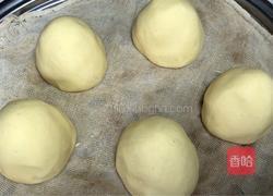 玉米面窝窝头-神奇的面粉的做法图解7