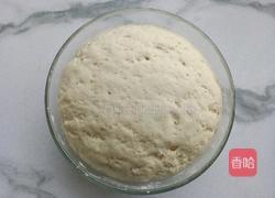 时蔬鲜肉包的做法图解9