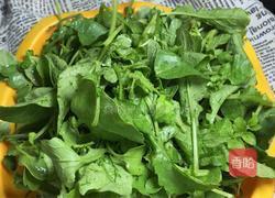 虾皮辣炒萝卜苗的做法图解1