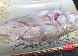 红烧桂鱼的做法图解1