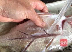红烧桂鱼的做法图解3