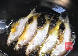 红烧刁子鱼的做法图解4