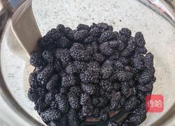 桑椹茶的做法图解1