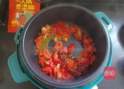 番茄炖牛肉 的做法图解5