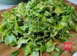 萝卜苗肉馅的做法图解2