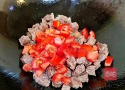 番茄牛腩的做法图解10