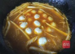 番茄味一锅烩的做法图解5