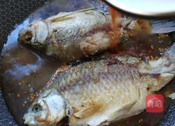 红烧鲫鱼的做法图解8