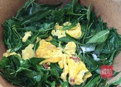 辣椒叶炒鸡蛋的做法图解5