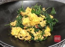 辣椒叶炒鸡蛋的做法图解6