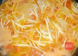 番茄鸡蛋面的做法图解9