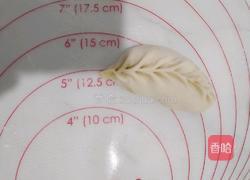 鲜蔬鸡蛋煎饺的做法图解11