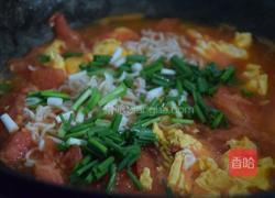 番茄鸡蛋面的做法图解11