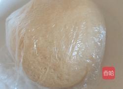 红糖鸡蛋奶香小麻花的做法图解14