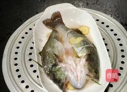 清蒸鲈鱼的做法图解5