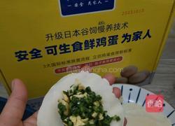 韭菜鸡蛋饺子的做法图解17