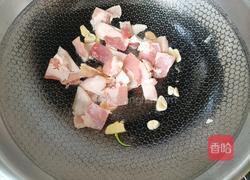 白菜炖粉条的做法图解4