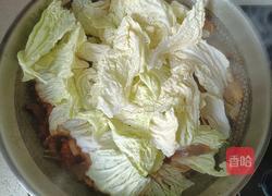 白菜炖粉条的做法图解8
