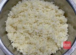 甜酒酿的做法图解5