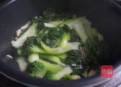 杏鲍菇炒乌塌菜的做法图解4