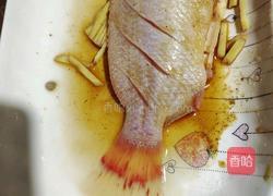 清蒸彩虹鲷的做法图解2