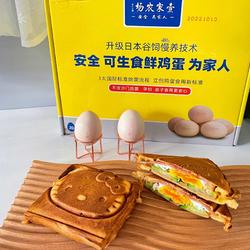 热压鸡蛋三明治的做法[图]